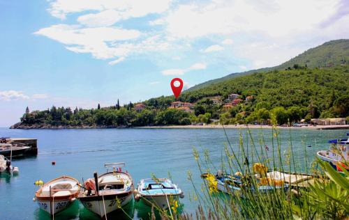 Medveja Apartment | Apartments by the sea Medveja, Opatija - 7720