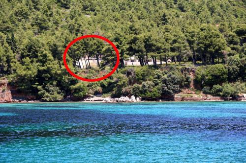Zuljana Apartment | Apartments by the sea Zuljana, Peljesac - 10233