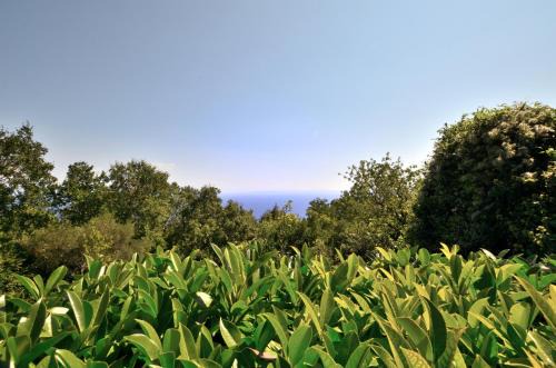 Obrs Apartment | Apartments Haldej