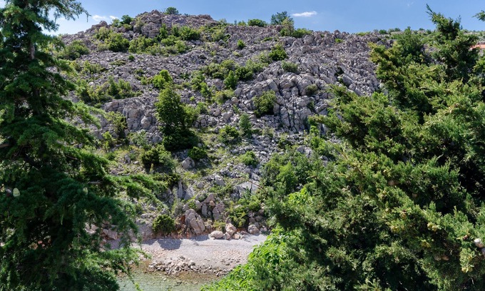 Ribarica Apartment | Apartments Mladen (61131-A2) - Karlobag