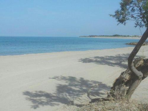 Torre Mozza Apartment | Appartamento Alba vista spiaggia
