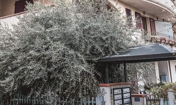 Viserba Apartment | Appartamento Beltramini Home - Affitti Brevi Itali