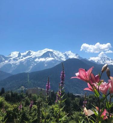 Sallanches Apartment | Appartement au pays du Mont-Blanc