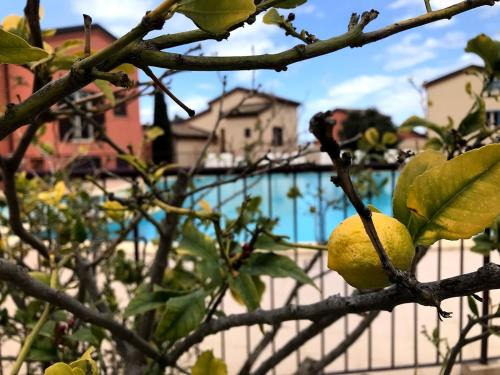 Lozari Apartment | Appartement Dolce Farniente Corse Lozari