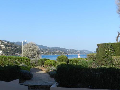 Le Lavandou Apartment | Appartement les Pieds dans l'eau !