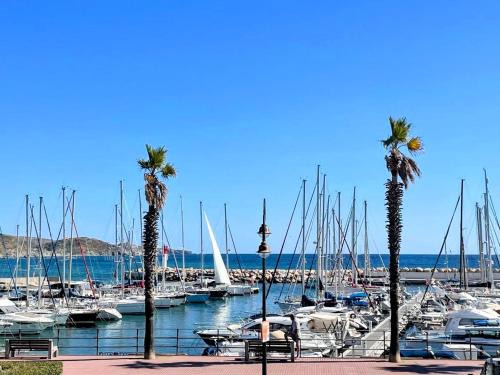 Banyuls-sur-Mer Apartment | Appartement moderne avec terrasse à Banyuls-sur-Mer - FR-1-309-534