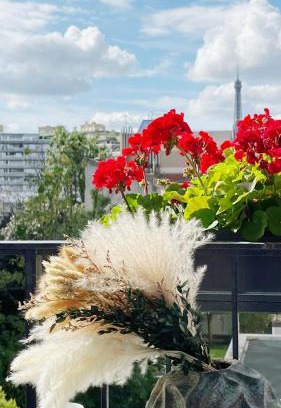 Necker Apartment | Appt 2 Chambres Vue Tour Eiffel