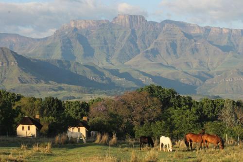 Ardmore House | Ardmore Guest Farm