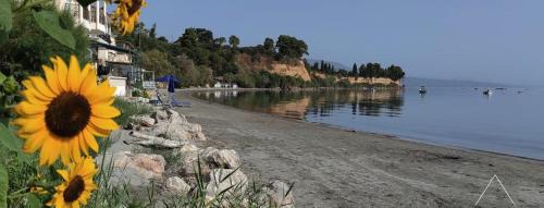 Koroni Apartment | Artaki Beach Comfy Apartment