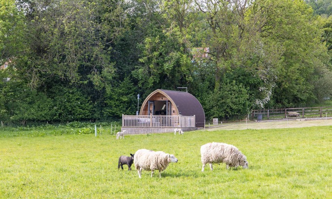 Ampleforth Cottage | Ashberry Glamping Pod - sleeps 2