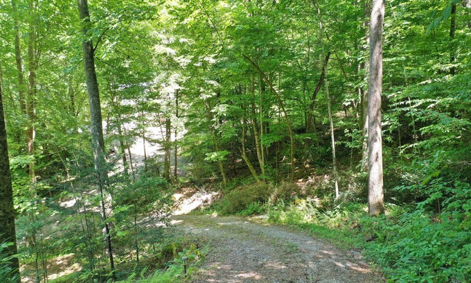 Blairsville Cabin | At My Cabin!