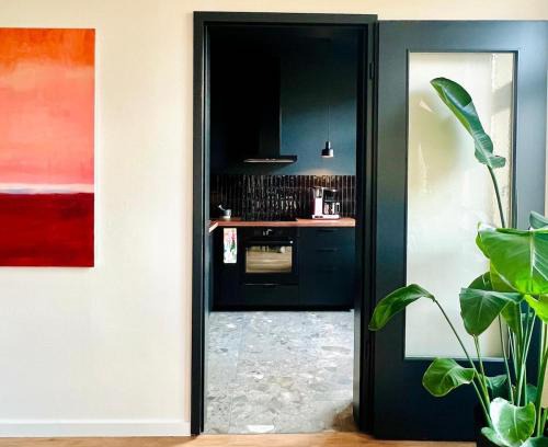 Sonnenberg Apartment | Atelier Noé NOIR - Kunstvoll Wohnen - Wunderbares Frühstück möglich - Ruhig und nah am Zentrum -