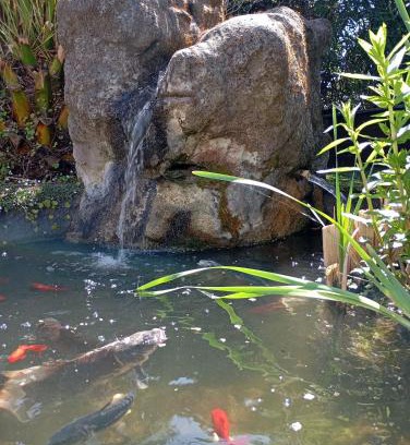 Vendays-Montalivet Bed & Breakfast | Au rocher de Pascal lit mezzanine