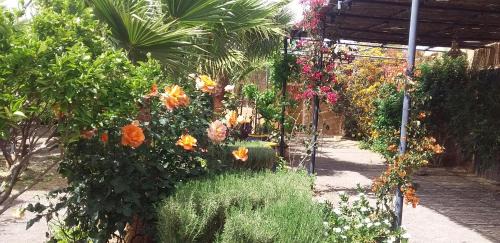 Nekob Bed & Breakfast | Auberge Bassou
