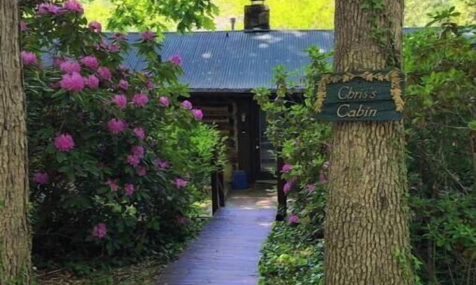 Skyland Cabin | Authentic log cabin near Biltmore House