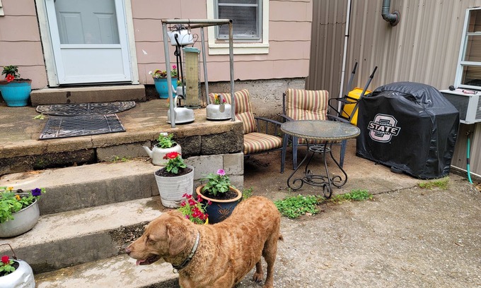 Tia Juana Cabin | AWESOME night's sleep. S Grand Lake. E of Disney 1 mile. Quiet location. Pets ok