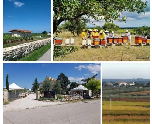 Montegrosso Other | B&B Biobonizio PIERLUIGI