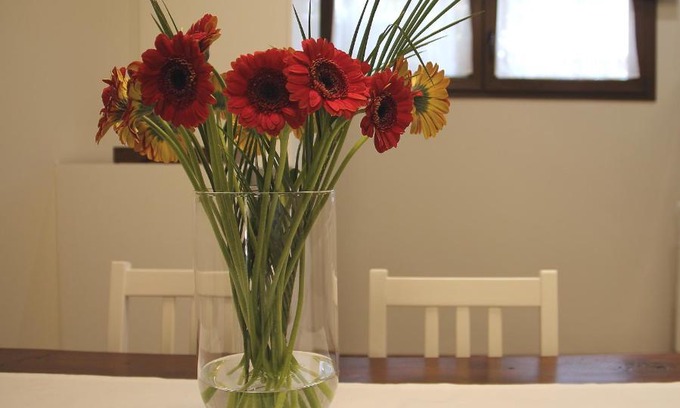 Sardara Bed & Breakfast | B&B Casa Olla