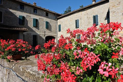 Neviano degli Arduini Apartment | B&B Cortebonomini apartment