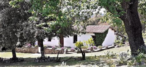 Sorgono Bed & Breakfast | B&B I Menhir