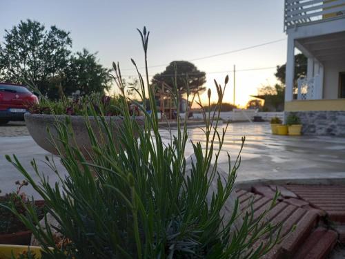 Campomarino Bed & Breakfast | B&B IRIS COTTAGE