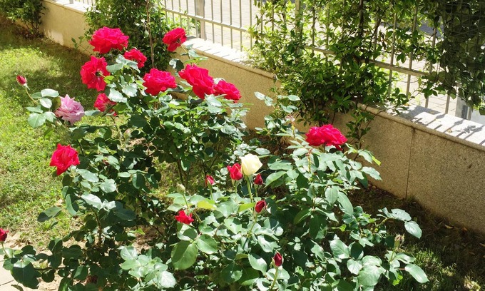 Cornaredo Bed & Breakfast | B&B Villa Milano Expo