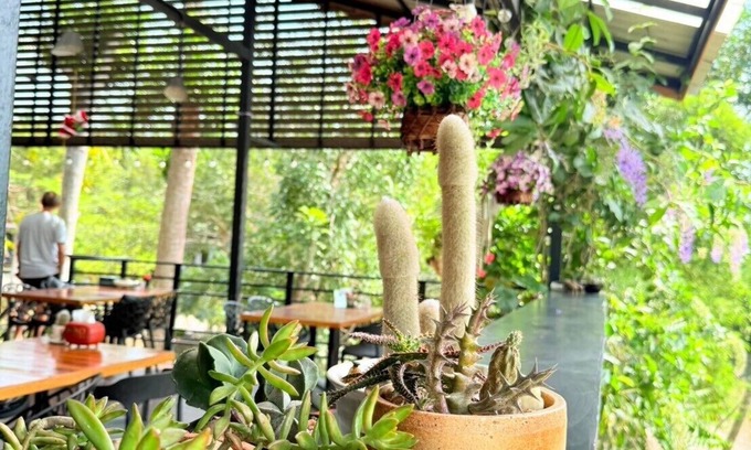 Ban Ta Khun Hotel | Baan Suan Hill Resort