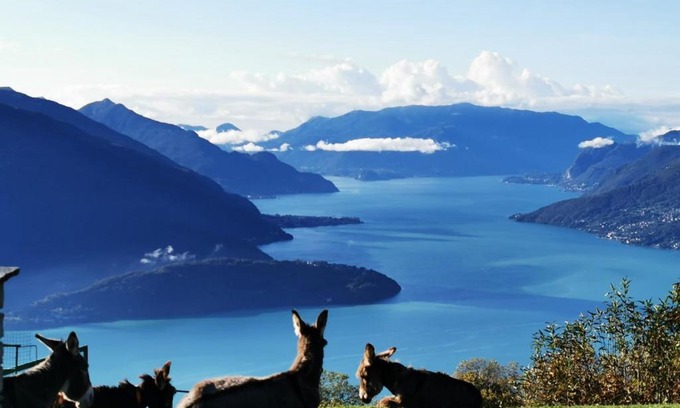 Vercana Apartment | Baita Melissa