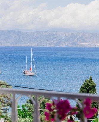 Apraos House | Barbas House