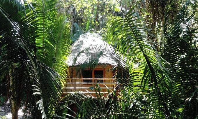 San Francisco Cabin | Basil Cabin 2. Romantic Ecolodge in the jungle by the sea