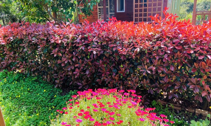 Sorbo-Ocagnano Cabin | Beach House à Quelques Mètres de la Plage en Corse