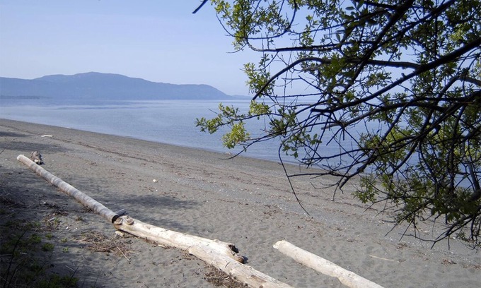 Lummi Island Condo | Beach, Pickleball-Tennis Court & Basketball Court