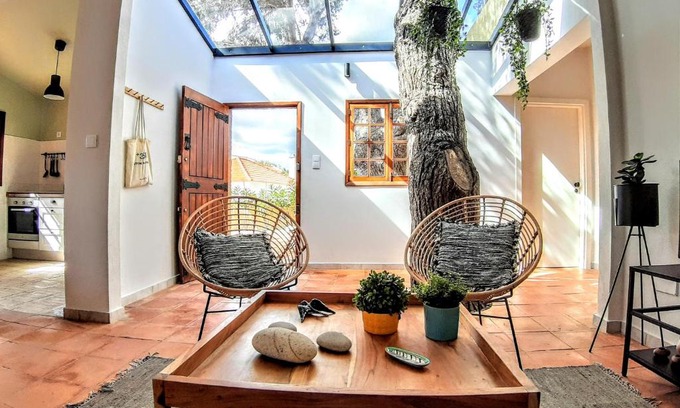 Vila Baleira House | Beach Tree House