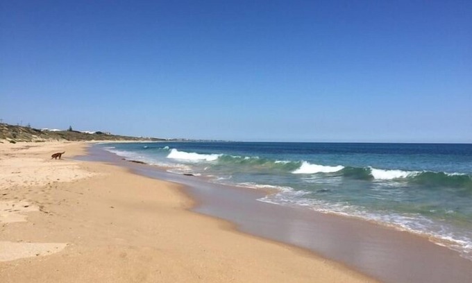 Halls Head House | Beachfront Holiday House - Pet friendly Ocean Frontage