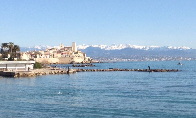Cap-d'Antibes Apartment | Beachfront in Antibes, feet in the water
