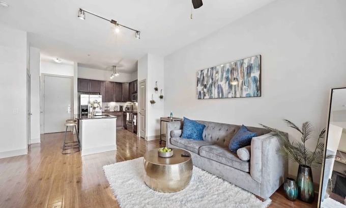 Astrodome Apartment | Beautiful 1br medical Center Nrg Stadium