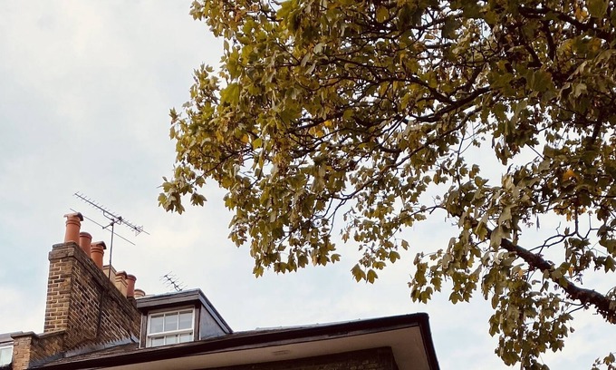 Canonbury House | Beautiful 5-bedroom townhouse