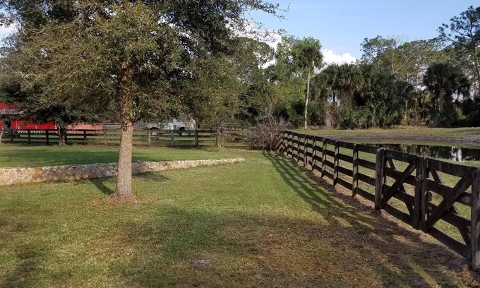 St. Cloud Cabin | Beautiful 5 Bedroom Log Cabin on 100 Acres with Pool, close to orlando