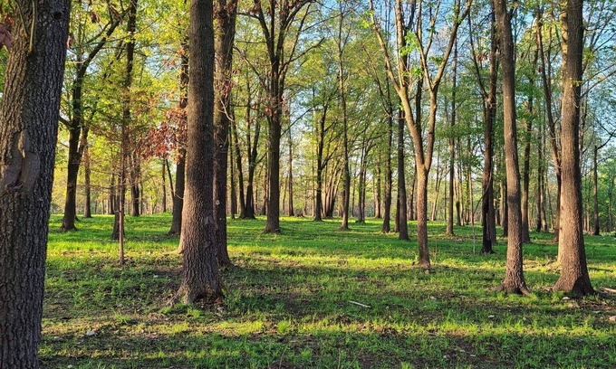 Carroll County Other | Beautiful home near Branson, MO & EurekaSprings, AR.