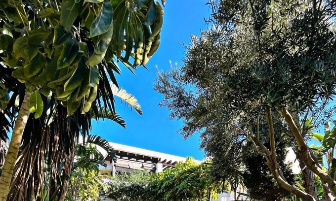 Playa Macenas House | Beautiful house by the sea to enjoy a perfect vacation!