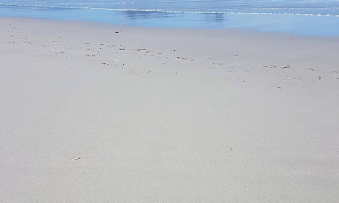 Ruakaka House | Beautiful Ruakaka beach fun, lots of space, 2 lounges, big garden