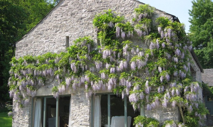 Millers Dale Cottage | Beautiful rural setting in the Heart of the Peak District