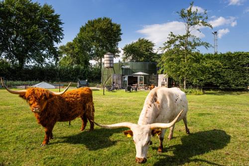 Akersloot Apartment | Bed&Bbq Longhornranch