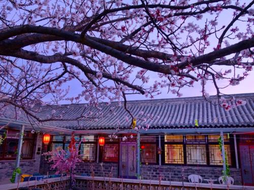 Badalingzhen House | Beijing Badaling Great Wall Caos Courtyard guesthousel 1Private english tour guide 2Pick up&Drof off &landmark visiting serivice3Very near to Badaling Great Wall4Offer free beijing travel guide5Traditonal Chinese courtyard