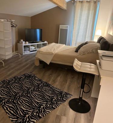 Saint-Martin-de-Seignanx Apartment | Bel appartement