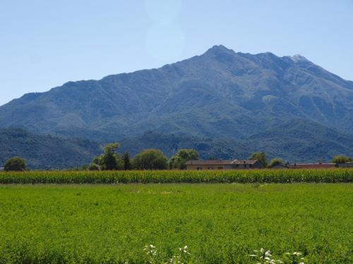 Boves Apartment | BEL TETTO DOLCE