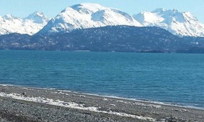 Homer Cabin | Beluga Lake Lodge
