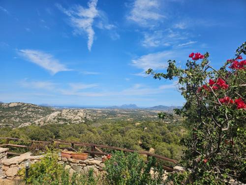 Telti Apartment | Belvedere Country House