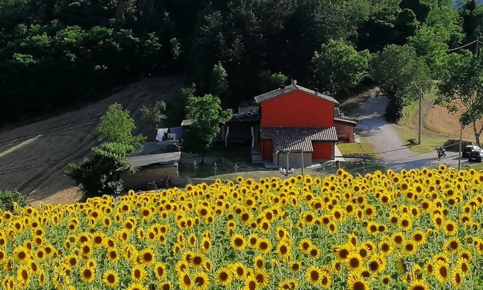 Urbino House | Belvilla by OYO A casa di Matisse