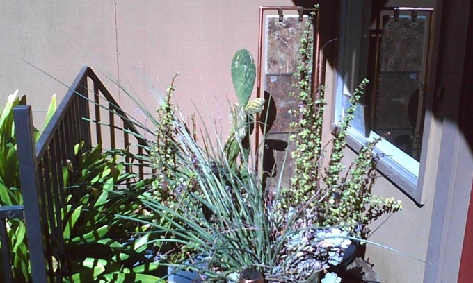 Bennett Valley Condo | Bennett Valley home is a great location to explore Sonoma Valley.